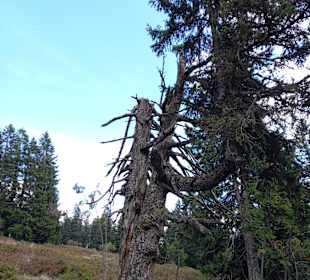 Wandern Lam