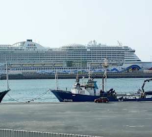 Inselrundfahrt AIDA Tagestour