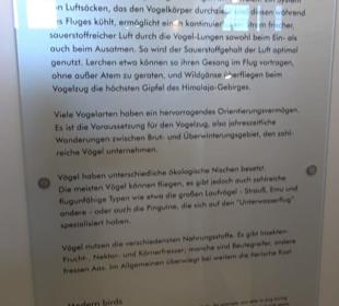 Jura-Museum