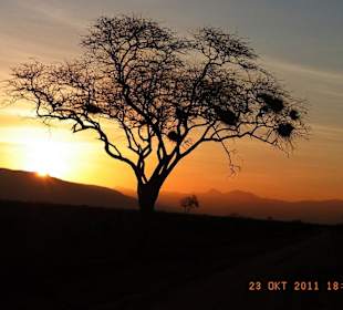 Tsavo West / - Ost / Amboselli