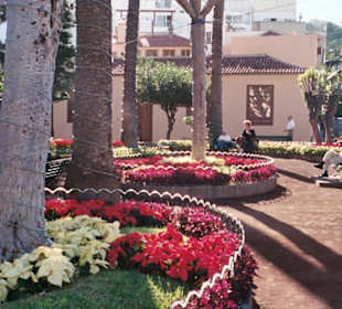 Park bei englischer Kirche