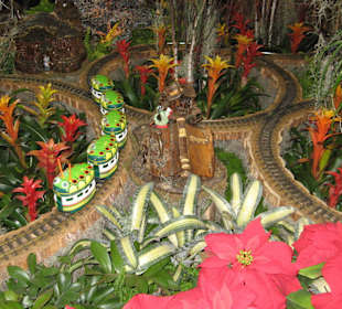 United States Botanic Garden