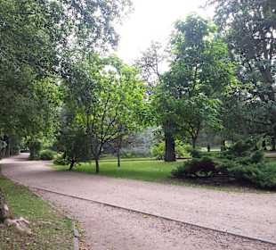 Palmiarnia Park Oliwski