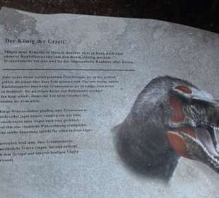 Dinosaurier Museum Altmühltal