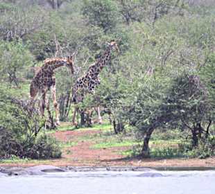 Sunset Dam Lower Sabie
