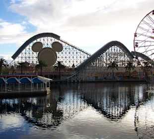 Kopfueber in der Maus