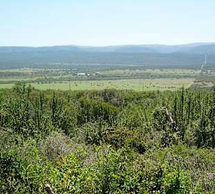 Blick vom Addo zum Schotia Safari