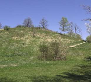 Monte Kik