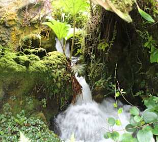 Botanischer Garten
