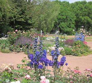 Rosengarten Zweibrücken