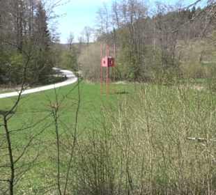 Sculptoura Woodwatcher