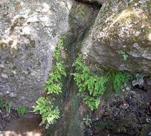 Wasserfall im Scmetterlingstal