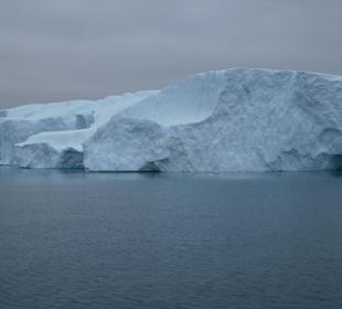 Wer hat das schon so nahe gesehen