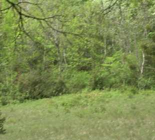 Wandertour durchs Reissenbachtal Oberhausen