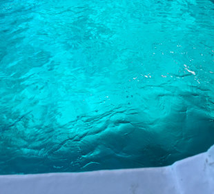 Insel Paxos