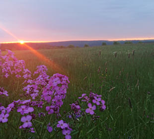 Radfahren Bärenstein