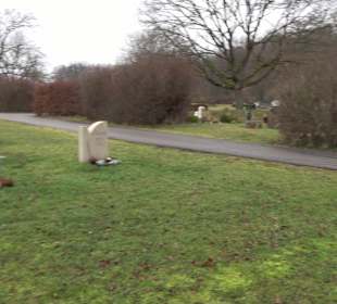 Friedhof "Neue Wiesen" Pliezhausen