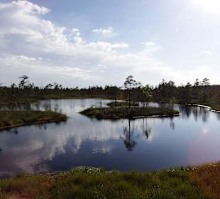 Bohlenweg durchs Kemeru-Moor