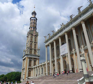 Widok ogólny