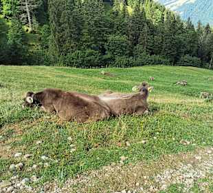 Wandern Oberstaufen