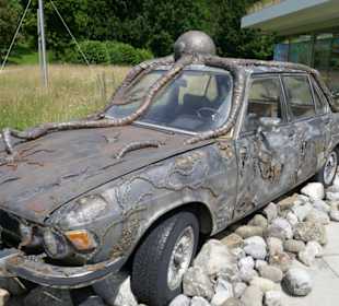 Ein Auto gefangen von einem Meerestier