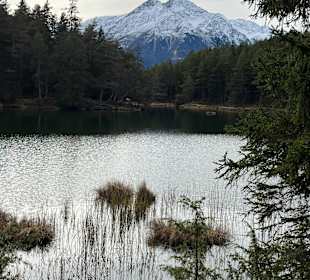 Wildsee