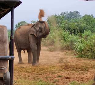 Safari via Tikka-Tours 