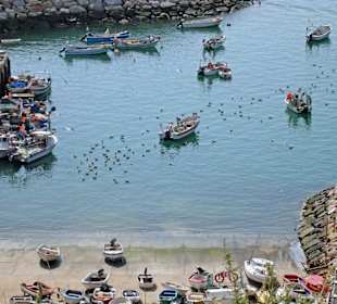 Yacht-Hafen Albufeira & Umgebung