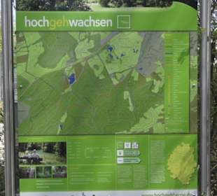 Wanderweg Hochgehwachsen