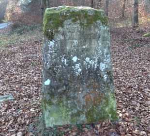 Alter Abteilungsstein 2