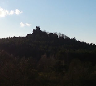 Burgruine Drachenfels Busenberg