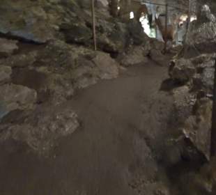 Nebelhöhle