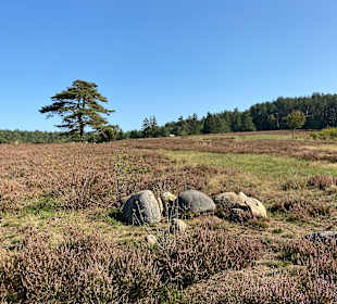 Wandern Amelinghausen 