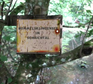 Hummelklingensee Walddorf