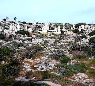 Skulpturenpark