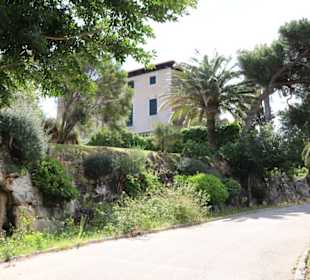 Villa March