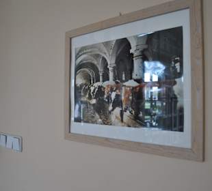 Obora w Pałacu w Krzyżowej