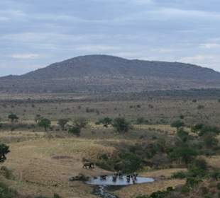 Aussicht von der Rhino Valley Lodge