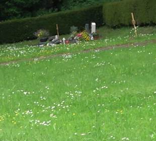 Friedhof Unteriflingen