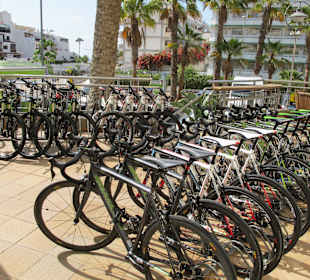 Free Motion Cannondale Mieträder