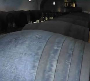 Museo Agrícola El Patio