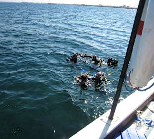 Tauchen, am hotelstrand gebucht
