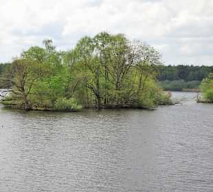 Impressionen von der Thülsfelder Talsperre