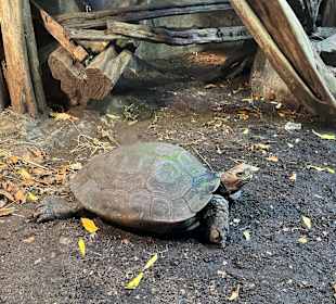 Aquazoo Löbbecke Museum Düsseldorf