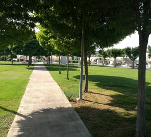 Gartenanlage