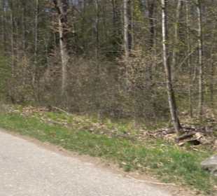 Wanderparkplatz Segelbachbecken