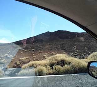 Teide 