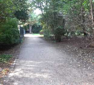 Englischer Garten