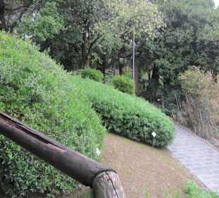 Botanischer Garten Bergamo