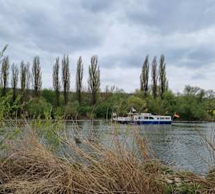 Mainufer Frickenhausen